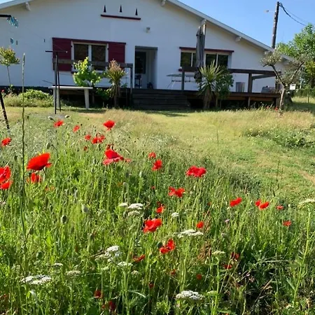 Alpehytte Location Maison *