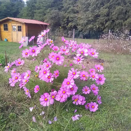 Domek alpejski Location Maison